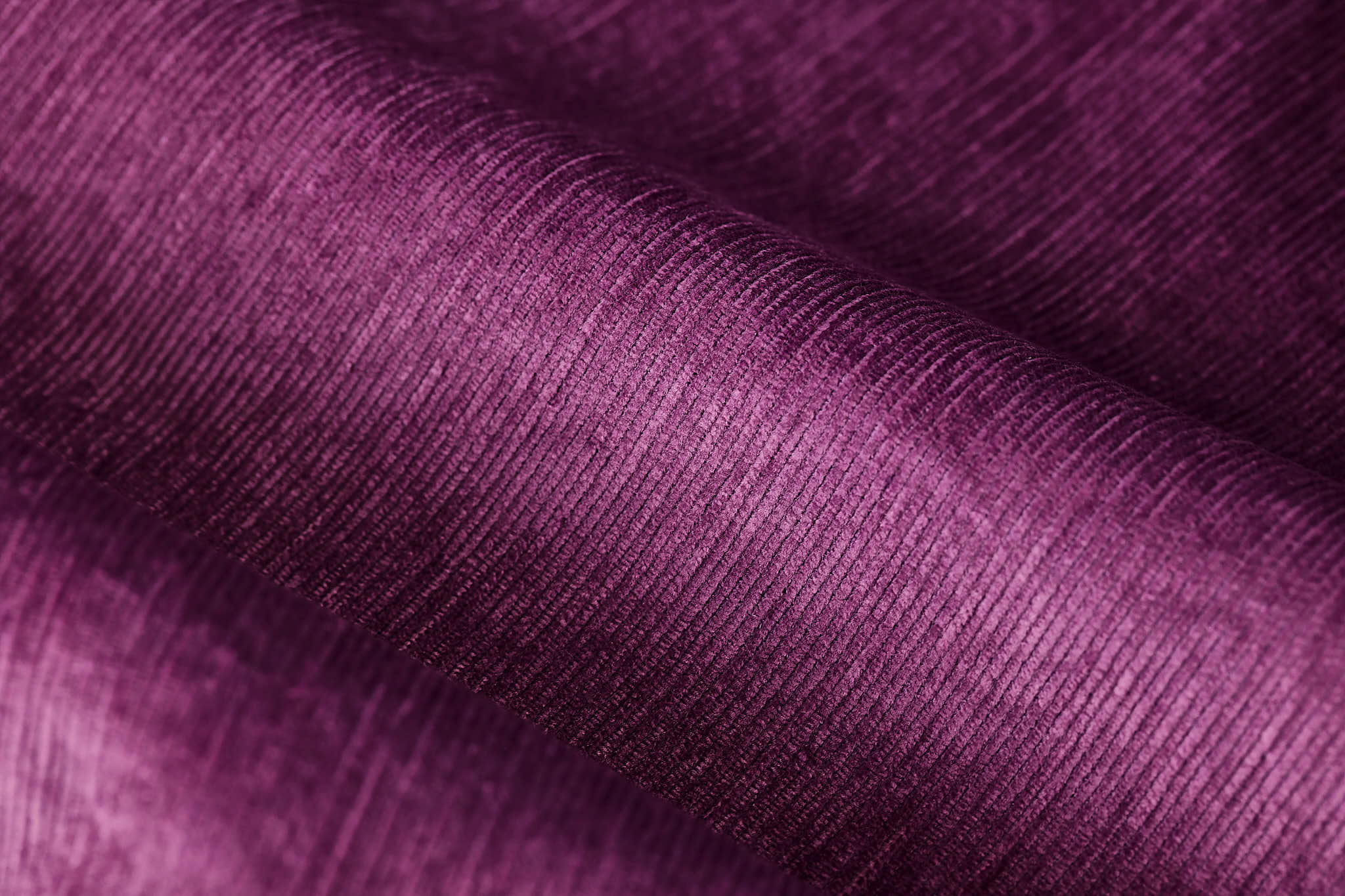 VellutiFW2324Pontex